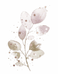 Bourgeons et Racines